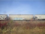 BCOL 829016